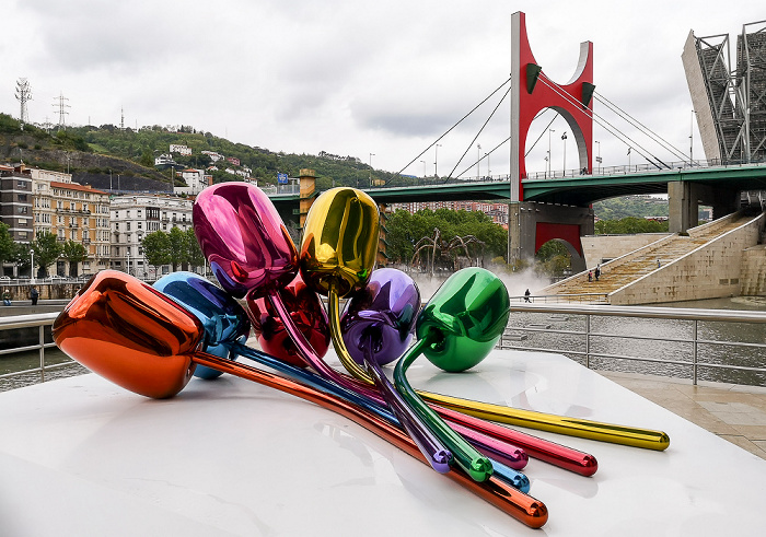 Guggenheim-Museum Bilbao, Puente de La Salve Bilbao