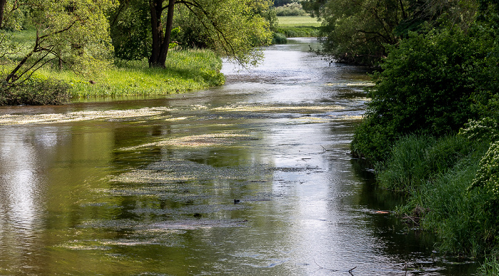 Donau Pfohren