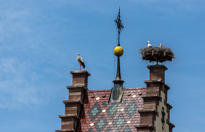 Pfohren Kirchturm der Kirche St. Johannes der Täufer: Weißstörche (Klapperstorch, Ciconia ciconia)