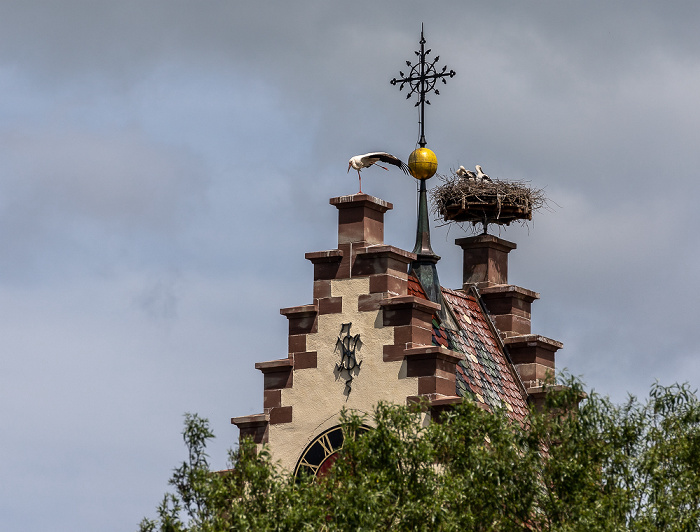 Kirchturm der Kirche St. Johannes der Täufer: Weißstörche (Klapperstorch, Ciconia ciconia) Pfohren