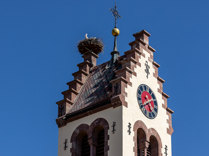 Kirchturm der Kirche St. Johannes der Täufer: Weißstörche (Klapperstorch, Ciconia ciconia) Pfohren