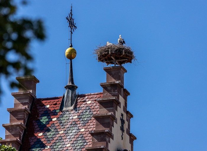 Kirchturm der Kirche St. Johannes der Täufer: Weißstörche (Klapperstorch, Ciconia ciconia) Pfohren