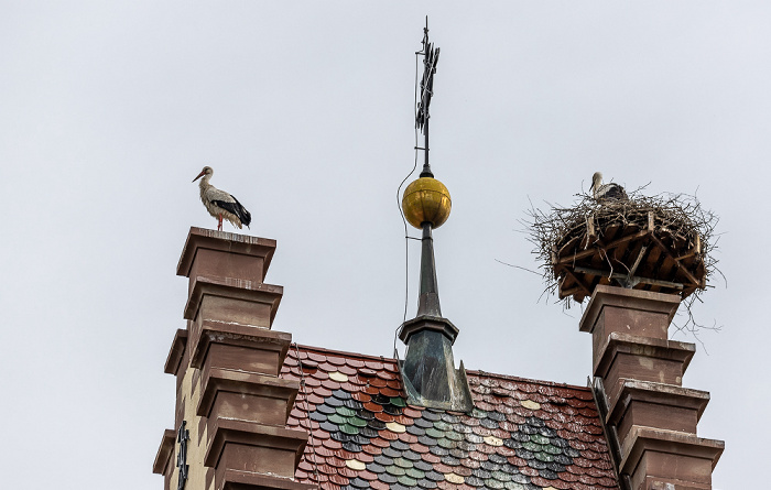 Pfohren Kirchturm der Kirche St. Johannes der Täufer: Weißstörche (Klapperstorch, Ciconia ciconia)