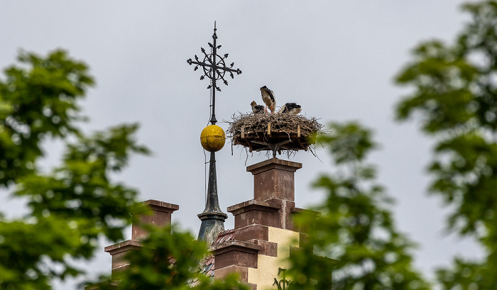 Pfohren Kirchturm der Kirche St. Johannes der Täufer: Weißstörche (Klapperstorch, Ciconia ciconia)