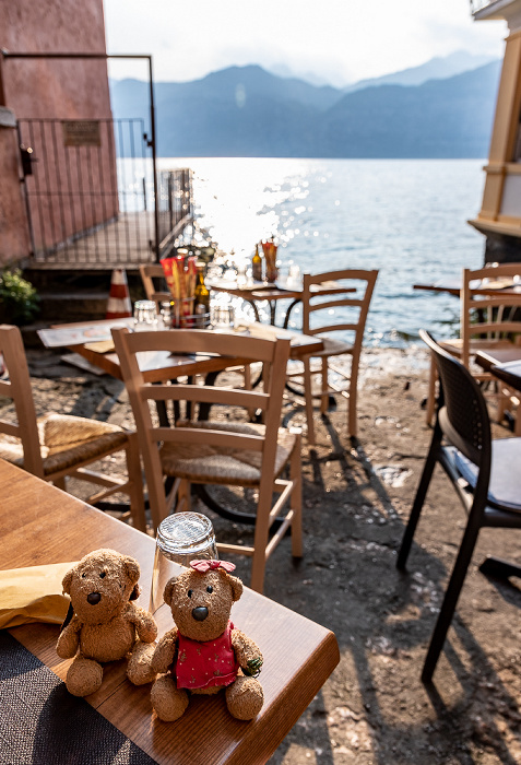 Malcesine Teddy und Teddine