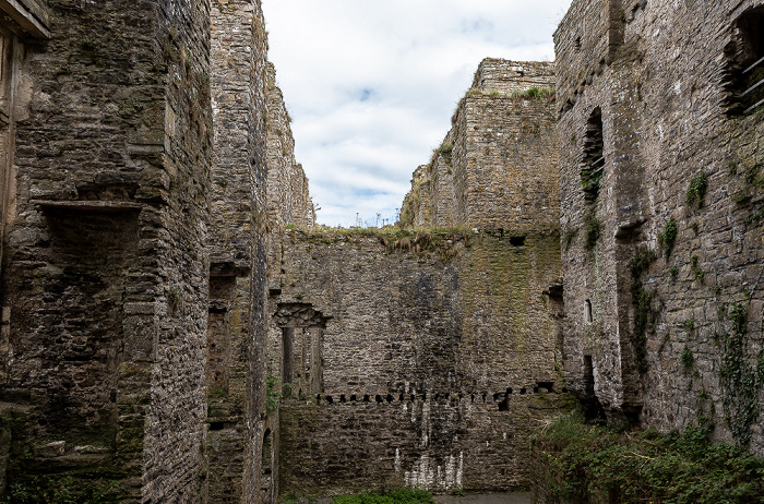 Carew Castle