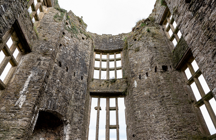 Carew Castle