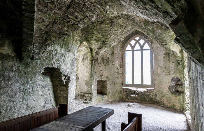 Carew Castle