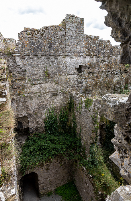 Carew Castle