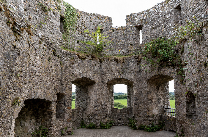 Carew Castle