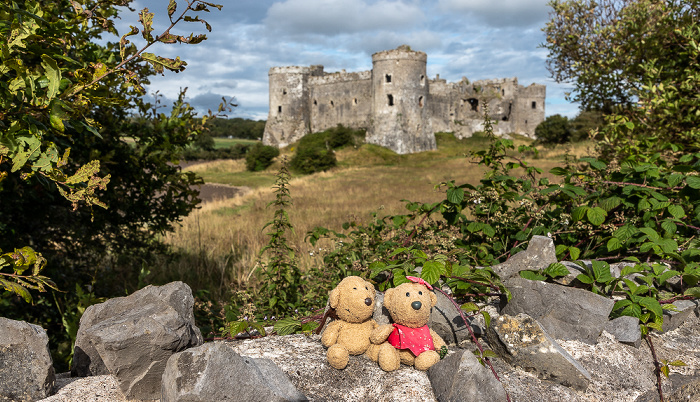Carew Teddy und Teddine Carew Castle