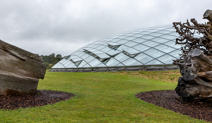 Llanarthney National Botanic Garden of Wales: Great Glasshouse