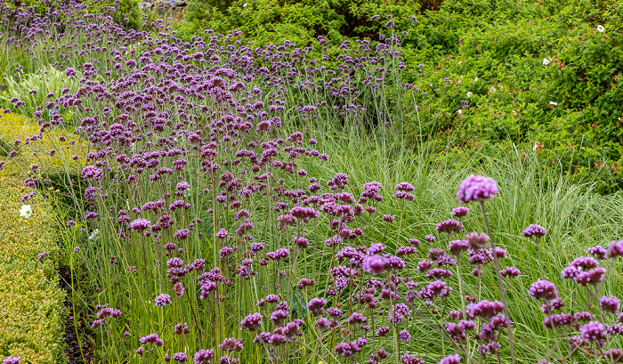 Llanarthney National Botanic Garden of Wales