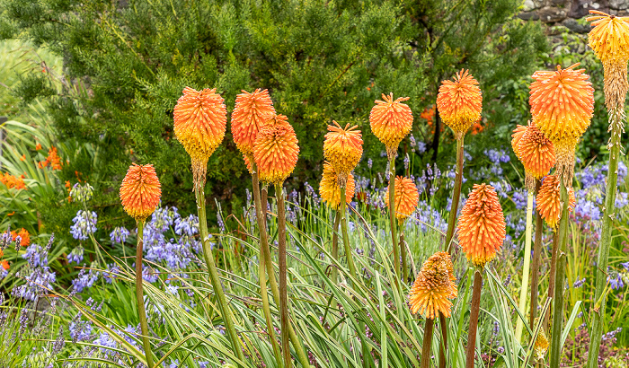 Llanarthney National Botanic Garden of Wales