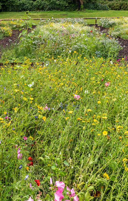 National Botanic Garden of Wales Llanarthney