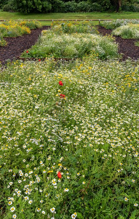 Llanarthney National Botanic Garden of Wales