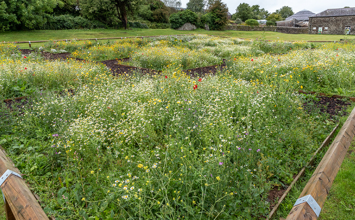 Llanarthney National Botanic Garden of Wales