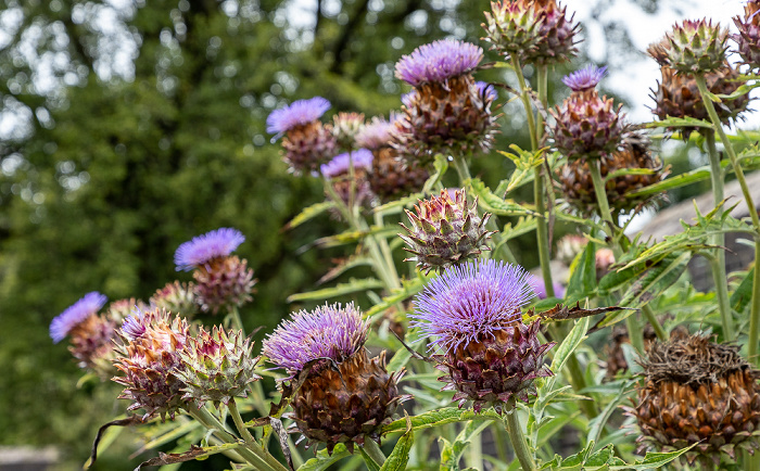 National Botanic Garden of Wales Llanarthney