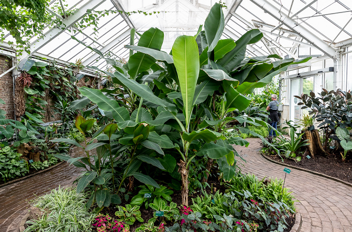 National Botanic Garden of Wales Llanarthney