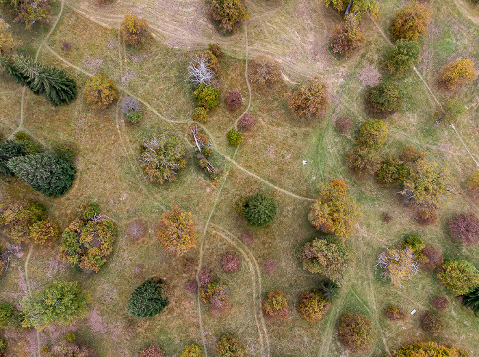 Forstenrieder Park Eichelgarten Luftbild aerial photo