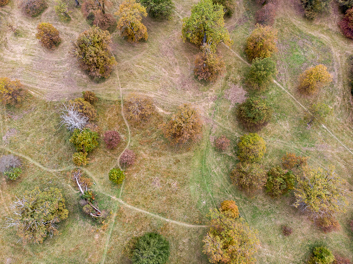 Forstenrieder Park Eichelgarten Luftbild aerial photo