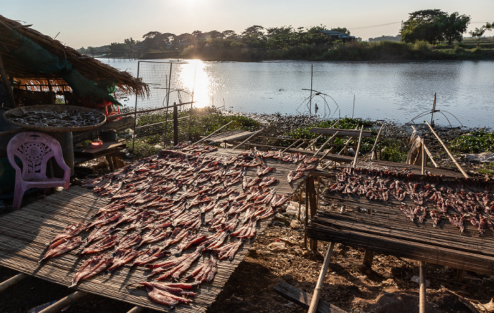 Waw Mawlamyaing Road: Verkaufsstand für Trockenfisch