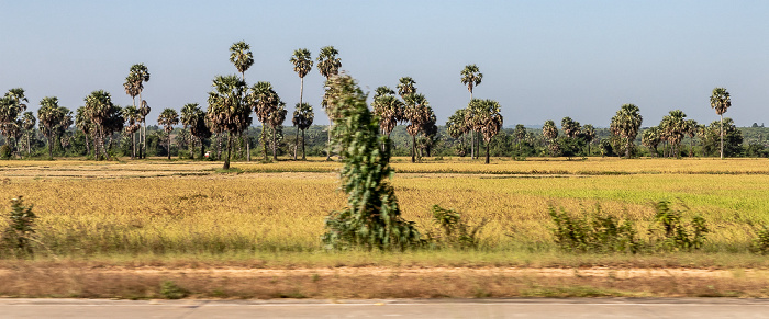 Bago-Region Fahrt Taungoo - Naypyidaw: Yangon-Mandalay Expressway