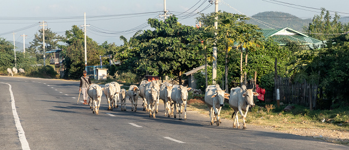 Fahrt Naypyidaw - Kalaw Mandalay-Region