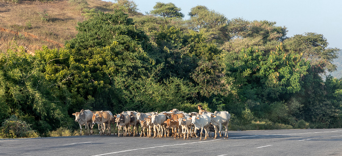 Fahrt Naypyidaw - Kalaw Mandalay-Region