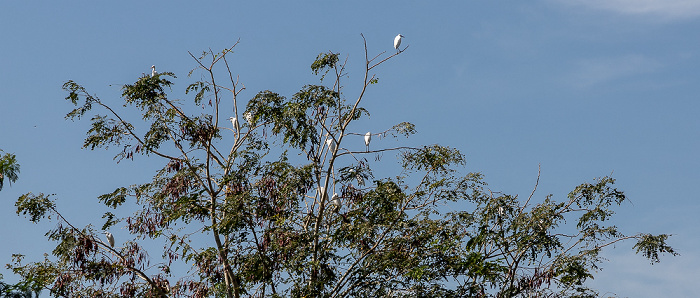 Inle-See