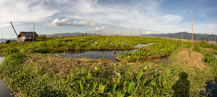 Inle-See Schwimmende Gärten