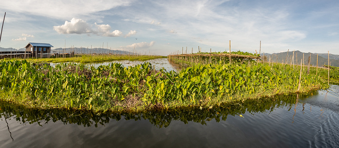 Inle-See Schwimmende Gärten