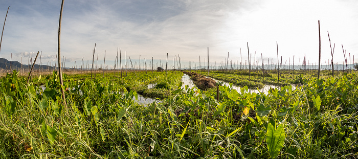 Schwimmende Gärten Inle-See