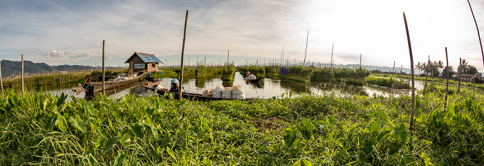 Schwimmende Gärten Inle-See