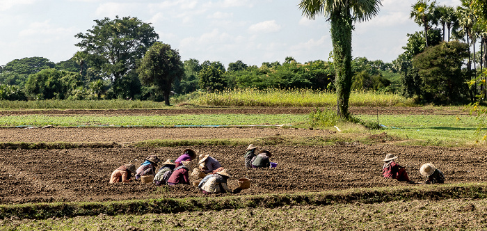 Fahrt Nyaung Shwe - Mandalay Mandalay-Region