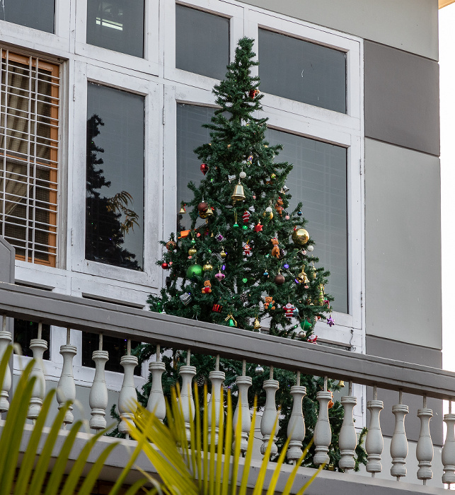 19th Street: Weihnachtsbaum Mandalay