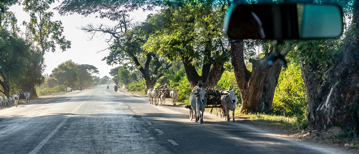 Sagaing-Region Fahrt Sagaing - Monywa