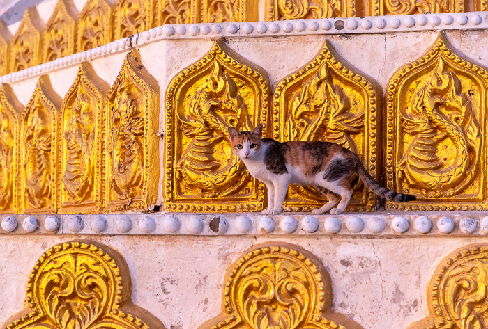 Monywa Po Khaung Hill: Sockel des Laykyun Sekkya Buddha - Katze