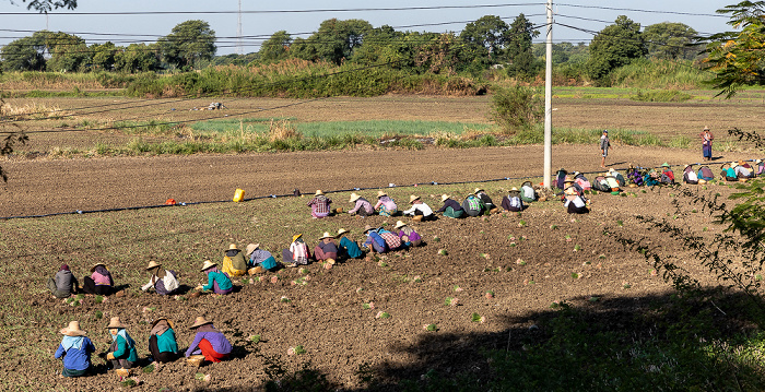 Sagaing-Region Fahrt Monywa - Phowintaung