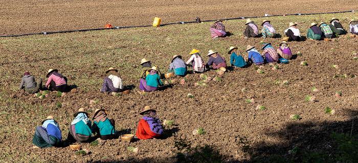 Fahrt Monywa - Phowintaung Sagaing-Region