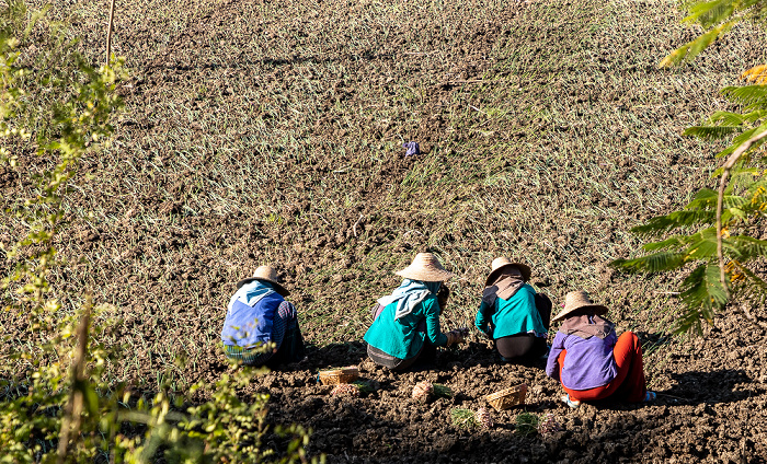 Fahrt Monywa - Phowintaung Sagaing-Region