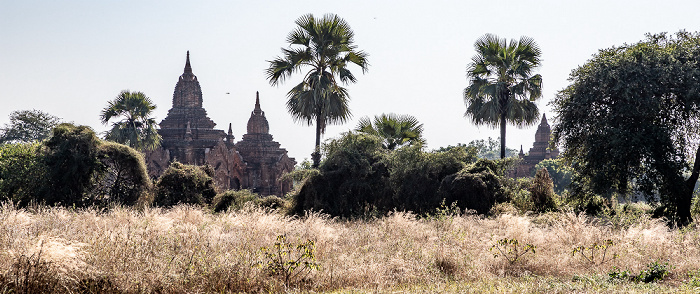 Bagan