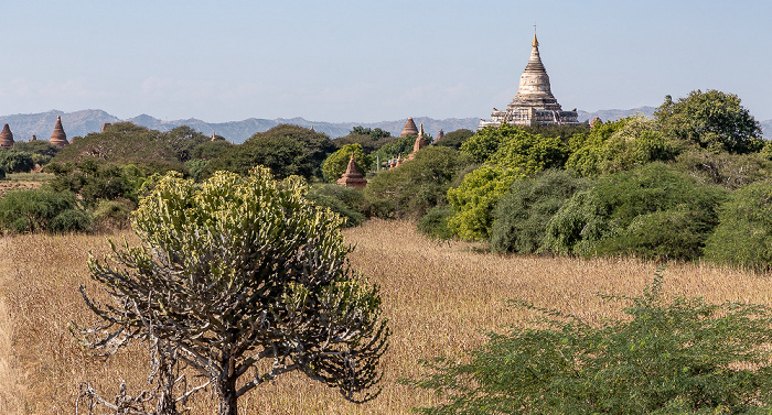 Bagan Shwesandaw-Pagode