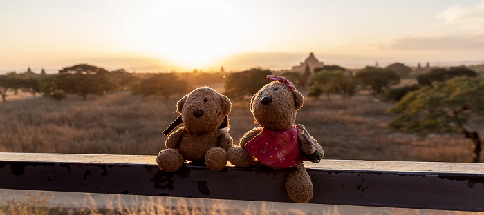 Bagan Aussichtshügel: Teddy und Teddine