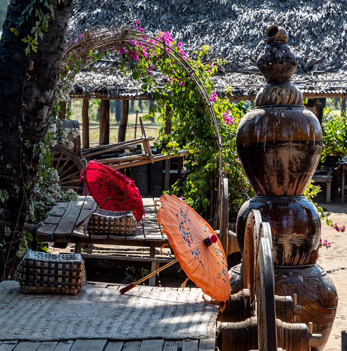 Paing Toddy Sugar Shop Taung Zin