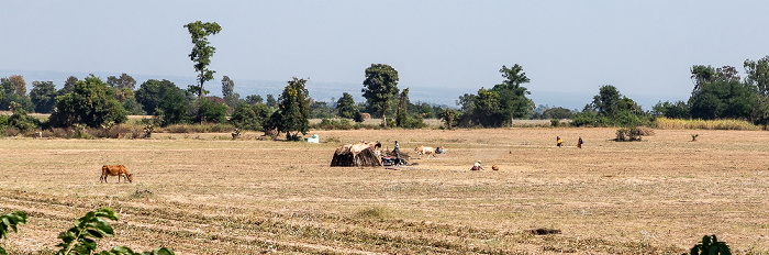 Magwe-Region Fahrt Mount Popa – Shwedaung