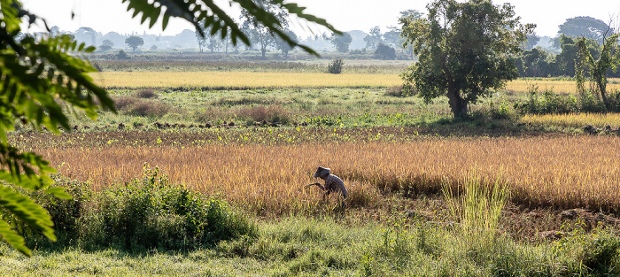 Fahrt Pyay - Htone Bo Bago-Region