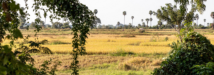 Bago-Region Fahrt Pyay - Htone Bo