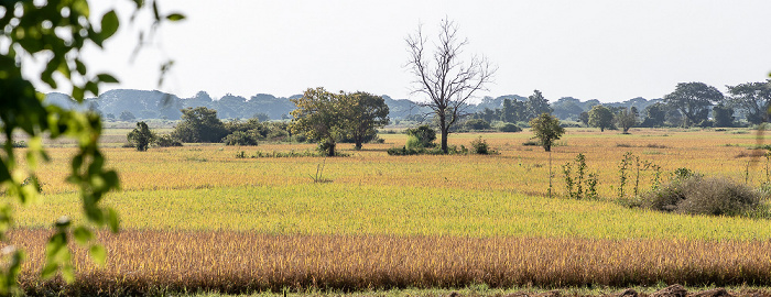 Bago-Region Fahrt Pyay - Htone Bo