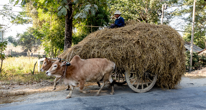 Fahrt Pyay - Htone Bo Bago-Region